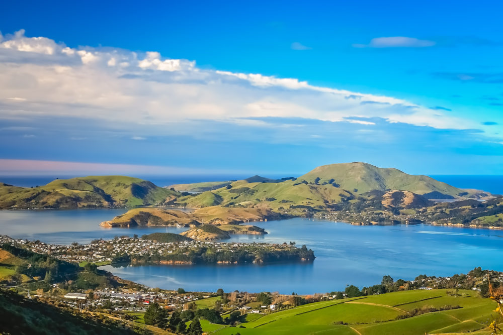 Dunedin, New Zealand, from above